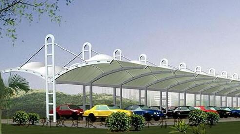 膜结构呈现透光性的理由